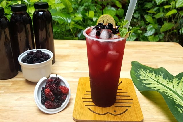 Loại cây quen thuộc giúp dưỡng tóc, ngăn ngừa bạc sớm